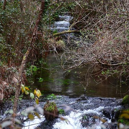Casinha Rubiaes Βίλα Paredes de Coura Εξωτερικό φωτογραφία