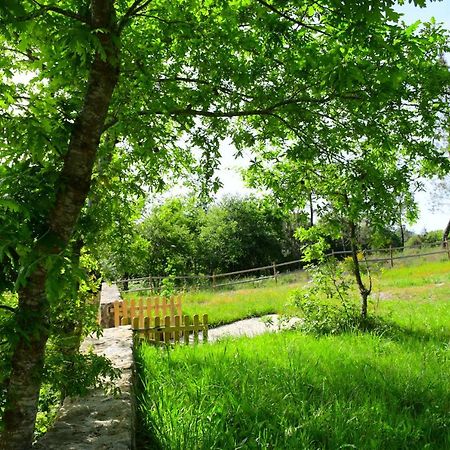 Casinha Rubiaes Βίλα Paredes de Coura Εξωτερικό φωτογραφία