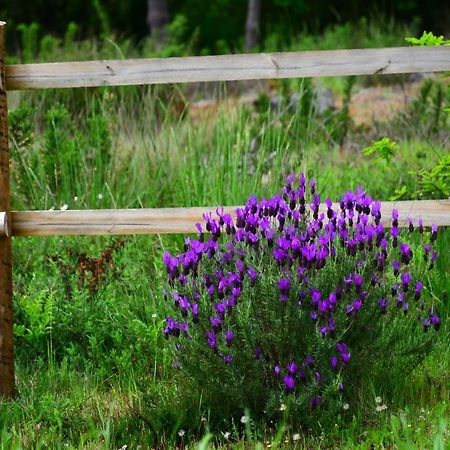 Casinha Rubiaes Βίλα Paredes de Coura Εξωτερικό φωτογραφία